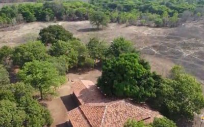 FAZENDA PARA ARRENDAMENTO NO TOCANTINS - ARRENDADA