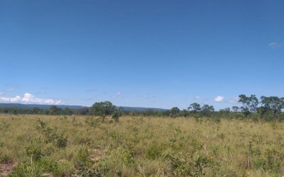 FAZENDA NO TOCANTINS