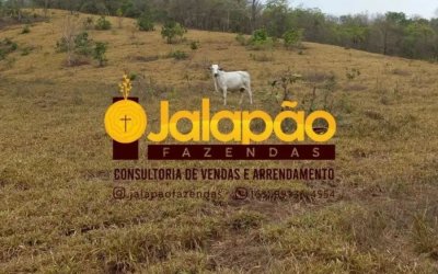 FAZENDA NO TOCANTINS