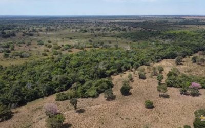 FAZENDA NO TOCANTINS