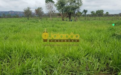 FAZENDA PARA PECUÁRIA NO TOCANTINS