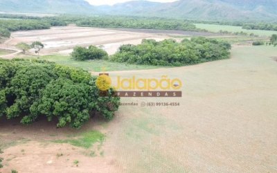 FAZENDA PARA AGRICULTORES NO TOCANTINS