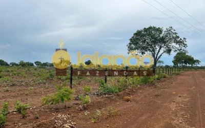 FAZENDA À VENDA NO TOCANTINS - VENDIDA