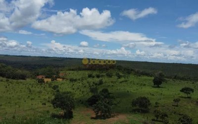 FAZENDA À VENDA NO TOCANTINS