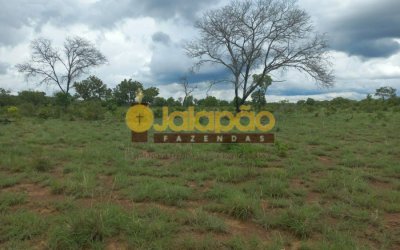 FAZENDA À VENDA NO TOCANTINS