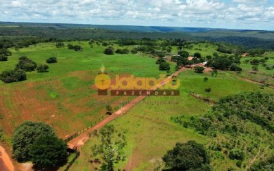 FAZENDA PARA PECUÁRIA NO TOCANTINS