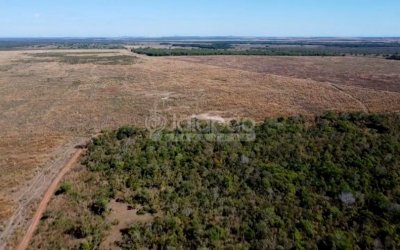 FAZENDA NO TOCANTINS